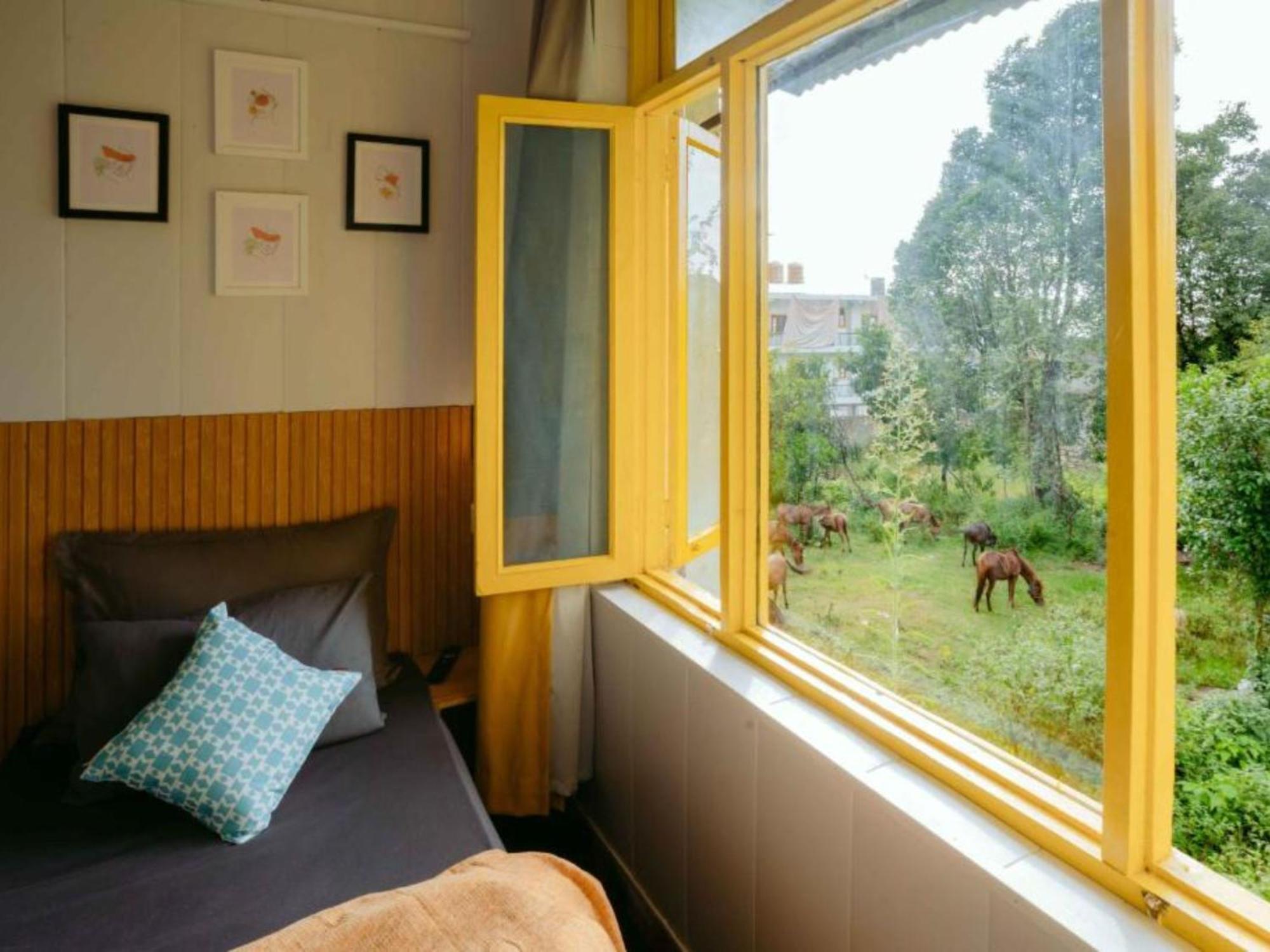 The Hosteller Bir Phòng bức ảnh